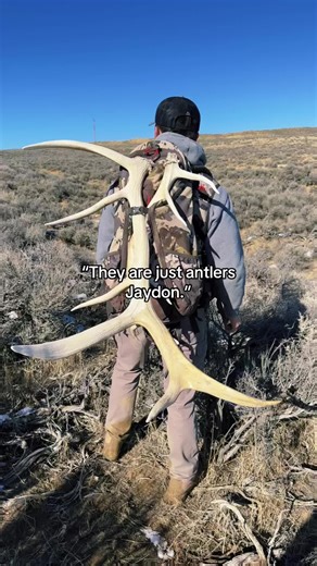 Shed Hunting Antlers in the Mountains