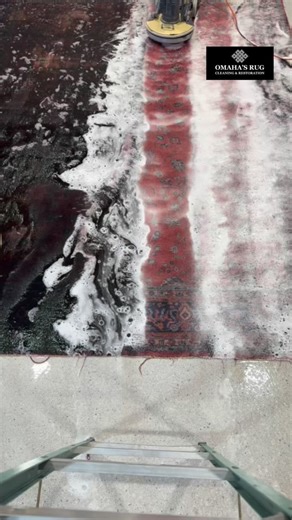 Treating this Persian rug before the tricks start 🎃 No ghosts or grime left behind — just a hauntingly clean finish! 👻 #satisfying #asmr #water #carpetcleaning #rug #home #rugcleaning #asmrwatersounds #clean #dirty #iowa #nebraska #missouri #apartmentliving #condoliving #rug #handmade | Omaha's Rug Cleaning & Restoration