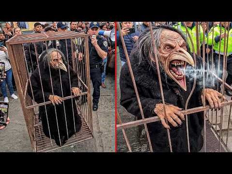 The Most Mysterious Winged Creatures Ever Caught on Camera — You Won’t Believe They Exist!