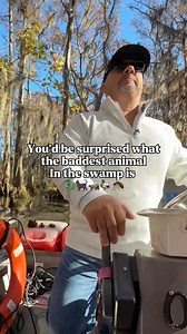 If you've been to the Honey Island Swamp in the spring, you know exactly what Luka is talking about! #swamptour #swampanimals #swampresidents #gnats | Cajun Encounters Tour Company