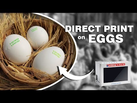 Fast and Easy Direct Printing on Farm Eggs