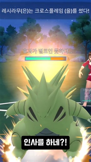 포켓몬고 마스터리그 인사성 좋은 마기라스!! #포켓몬고 #포고 #pokemongo