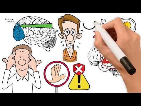 Why We Feel Fear | The Brain’s Ancient Survival Code Explained