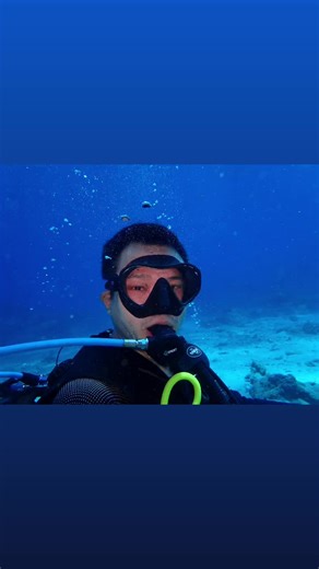 _appee (@_appee) 的影片使用了 什麼都不必說 - 2022 Remix - 比莉 & 周湯豪