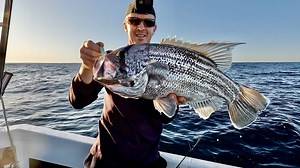 We didn't expect this in 60 feet of water