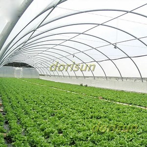 [Hot Item] Agricultural Commercial Greenhouses Drip Irrigation Set Single Span Greenhouse