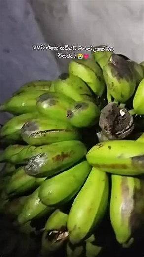 Mention කරන්න බලන්න #quotes #foryou #memes