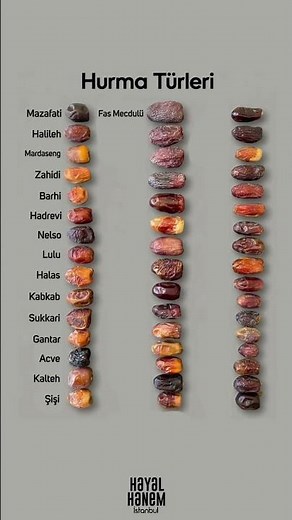 Types of Dates: Only 47 Out of 2000 Varieties