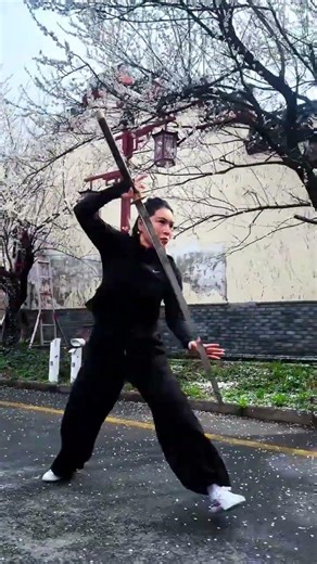 Master the Miao Dao Wu Lu Ji with Na Jie: Unveiling the Xinyou Dao Technique