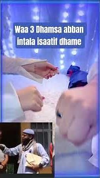 weddings#Aruza#shortvideo#gorsa#abbanitala isaatif dhame.