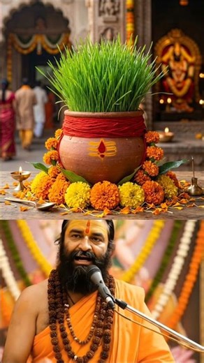 What do Navratri's Jaware signify? Learn the meaning of green, yellow, or black Jaware #navratri ...