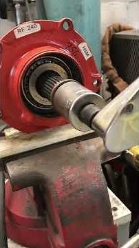 Dave cham setting ford 9inch pinion preload