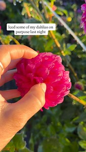 1.3M views · 34K reactions | A handy little trick that will often...