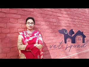 How to castrate a male goat by burdizzo's castrator