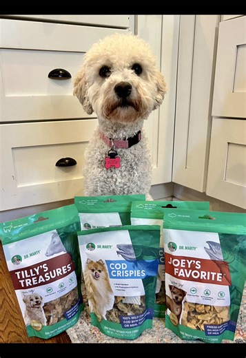 #dogtreats delivery day from @drmartypets!!! It’s @coconutthespanishwaterdog ‘s favorite day of the month! Hey Dr. Marty - we think you should rebrand these as ‘Coconut’s Cod Crispies’!! ##DogTraining#N#NewJersey🐶🐾