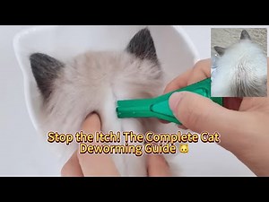 How to Deworm Your Cat the Right Way | Fleas, Ear Mites & Worms Explained #CatDeworming #CatCare