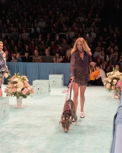 65K views · 135 reactions | Brianne Howey on Reels | Facebook