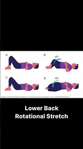 6 Basic Exercises to Strech Back Muscle