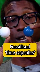 Tiny organisms called Foraminifera have been in the oceans for millions of years, and studying their fossilised shells can help us understand how the climate on our planet is changing 🌊 During the 2020 Christmas Lectures, geologist Chris Jackson showed us how these microorganisms can act as time capsules. Watch the full series here: rigb.org/explore-science/explore/video/christmas-lectures-2020-engine-earth-chris-jackson | Royal Institution of Great Britain