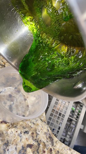 Mixing Green Algae: A Guide to Unique Culinary Creations