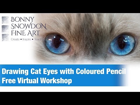 Free Virtual Workshop - Drawing Cat Eyes with Coloured Pencils