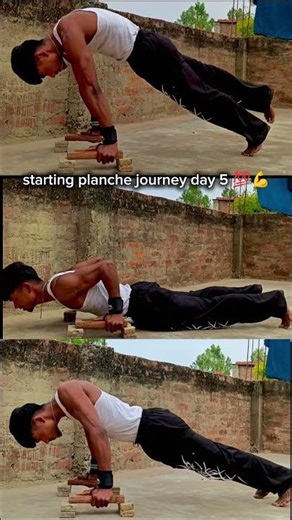 starting planche journey day 5 💯💪 #calisthenics #trending #trend #strength #street #motivation