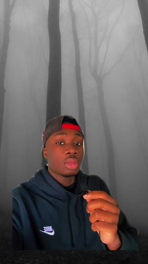 Private Penguin: The Dark Side of Antarctica Revealed