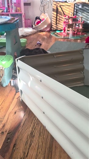 New grape trellis beds