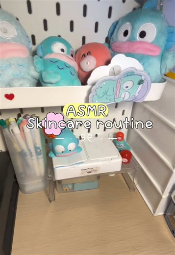 Effective Skincare Routine with MizuMi and The Ordinary