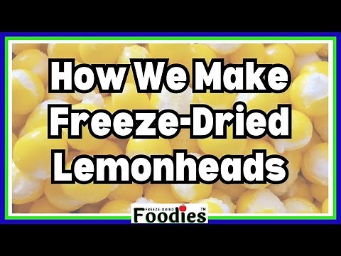 How We Make Freeze-Dried Lemonheads (Timelapse)