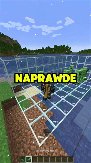 TYPOWE LAJWY Z MINECRAFTA NA TIKTOKU #shorts