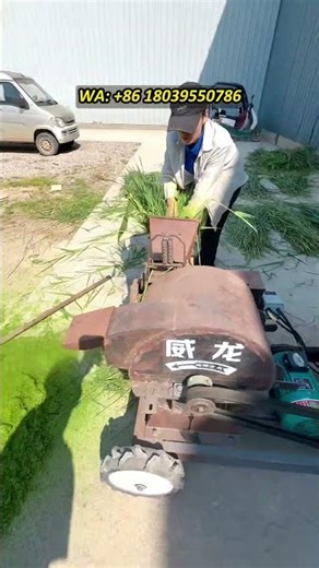 hay pulping machine, fresh hay silage pulping equipment, actual test results of sugarcane pulping