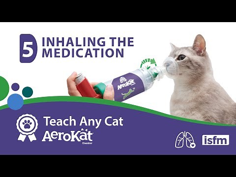 Teach Any Cat AeroKat* - 5: Inhaling the Medication