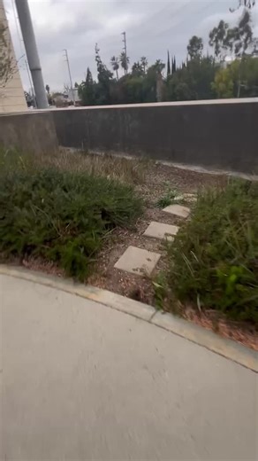 Here's the #LARiver channel outside our studios in Universal City before and after steady overnight rain. ⁠ ⁠ The holiday storm is expected to bring more rain throughout the remainder of Christmas week. ⁠ ⁠ Tap the #linkinbio for our updates rainfall timeline. | NBC LA
