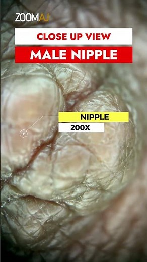 Male Breast Nipple under Microscope close view - male nipple #closeup #microscope #breastfeeding