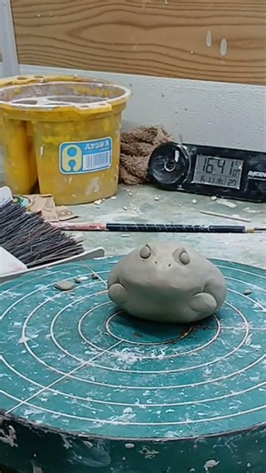 倍速つのがえる作り #かえる #カエル #ツノガエル