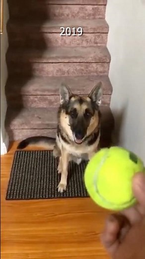 I made "Duke, do you want the ball?"