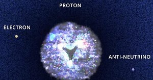 Video: Visualizing the nucleus