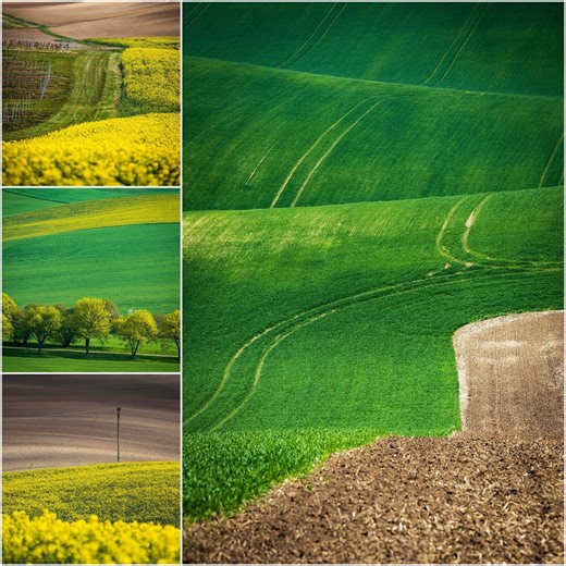 Green Moravian Landscapes – 4 Vertical Printable Posters | Nature, Landscape, Minimalism, Moravia - Etsy