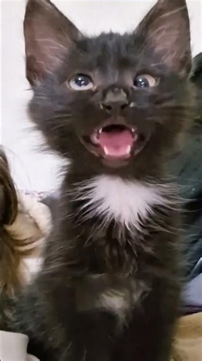 Ro waste water Gadget#shorts