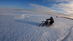 Lot Lizard Diesel on TikTok