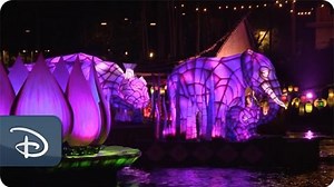 What Guests Are Loving About 'Rivers of Light' Disney's Animal Kingdom