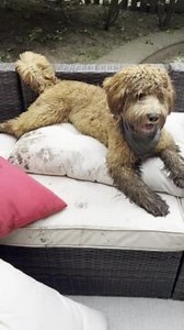 To license this content please click here: https://www.jukinmedia.com/licensing/view/1427577?utm_source=RMsocialpost&utm_medium=RMsocialpost | Jukin Copyright Management