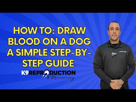 How to Draw Blood on a Dog: Simple Step-by-Step Guide