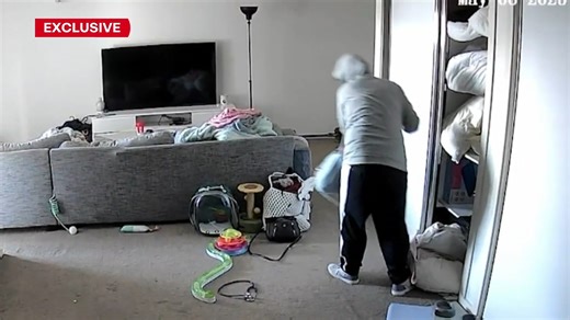 Cat camera captures two thieves ransacking home