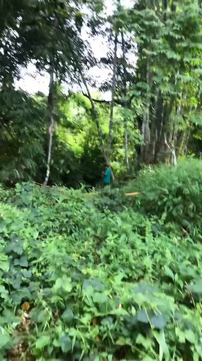 96 reactions | offline mode | Danver Sanchez Nerizon | Facebook