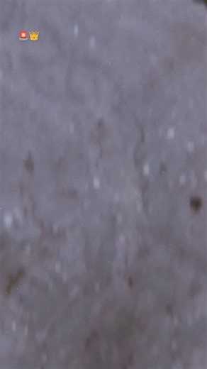 👑..........G/❤️\R.........👑 on Instagram: "#trending🤞💫❤️ #vice #viral👍👍👍👍👍 #video🎥📸 #traget10kfollowers🎯"