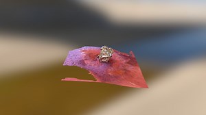 Desert rose - 3D model by puszta.adrian