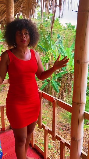 Beautiful private cottages for rent In Hanover Jamaica|Longterm & shorterm rental available #fyp #longtermrental #cottages #jamaica #traverlers #vacations #germany #uk #usa #simplelife #love #happy