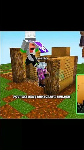 Minecraft The Best Minecraft Builder Cheetah #minecraft